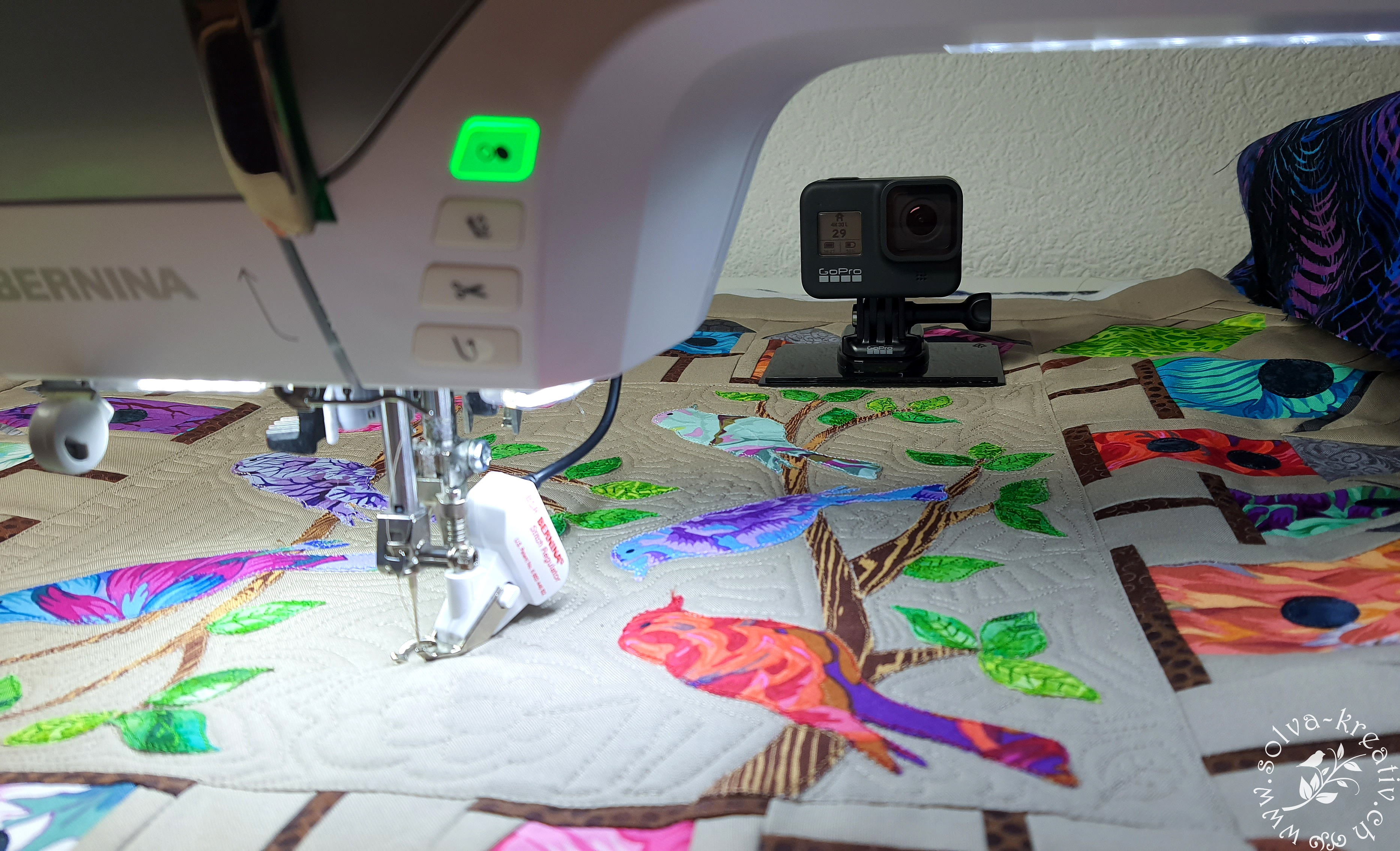 BirdhouseVillageGoPro8